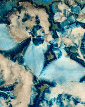 Load image into Gallery viewer, Hydrangea mixed colour