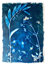 Load image into Gallery viewer, Blue and white botanical print with Cow Parsley, Solomon's seal and Clematis