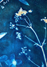 Load image into Gallery viewer, Blue and white botanical print with Cow Parsley, Solomon's seal and Clematis