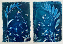 Load image into Gallery viewer, Blue and white botanical print with Cow Parsley, Solomon's seal and Clematis