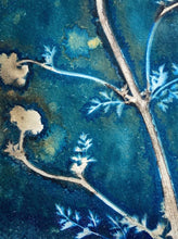 Load image into Gallery viewer, CowParsley stem