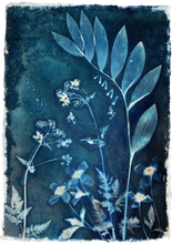 Load image into Gallery viewer, Blue and white botanical print with Cow Parsley, Solomon's seal and Clematis