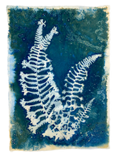 Load image into Gallery viewer, Fern triple