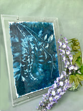 Load image into Gallery viewer, Wisteria straggle