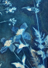 Load image into Gallery viewer, Blue and white botanical print with Cow Parsley, Solomon's seal and Clematis