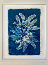 Load image into Gallery viewer, Fan Fern