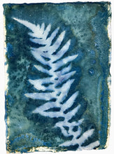 Load image into Gallery viewer, Fern botanical art print