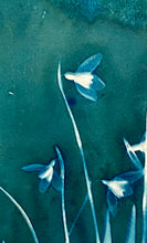 Load image into Gallery viewer, Snowdrops