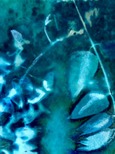Load image into Gallery viewer, Wisteria botanical art print, ready to hang block/tile