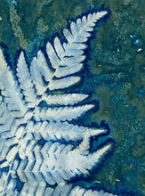 Load image into Gallery viewer, Fern