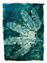 Load image into Gallery viewer, Fern botanical art print