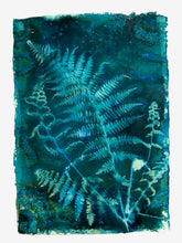 Load image into Gallery viewer, Fern botanical art print