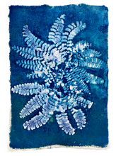 Load image into Gallery viewer, Fan Fern