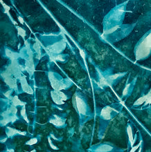 Load image into Gallery viewer, Wisteria straggle