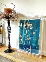 Load image into Gallery viewer, CowParsley stem