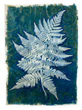 Load image into Gallery viewer, Fern