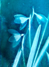 Load image into Gallery viewer, Snowdrop botanical art print, ready to hang block/tile