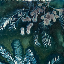 Load image into Gallery viewer, Mimosa