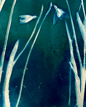 Load image into Gallery viewer, Snowdrops