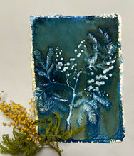 Load image into Gallery viewer, Mimosa