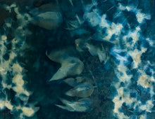 Load image into Gallery viewer, Wisteria triple