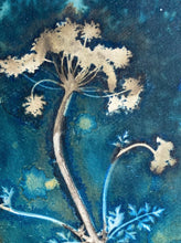 Load image into Gallery viewer, CowParsley stem