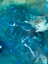 Load image into Gallery viewer, Hydrangea botanical art print, ready to hang block/tile