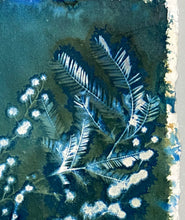 Load image into Gallery viewer, Mimosa