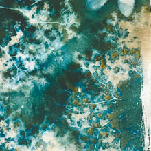 Load image into Gallery viewer, Elderflower 2