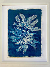 Load image into Gallery viewer, Fan Fern