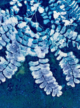 Load image into Gallery viewer, Fan Fern