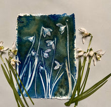 Load image into Gallery viewer, Snowdrops