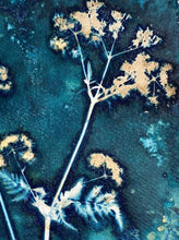 Load image into Gallery viewer, CowParsley botanical print in shades of blue