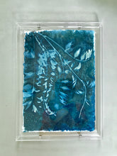 Load image into Gallery viewer, Wisteria straggle