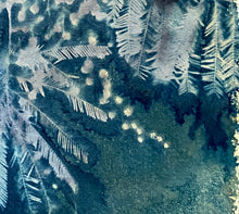 Load image into Gallery viewer, Mimosa