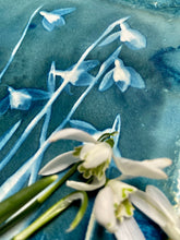 Load image into Gallery viewer, Snowdrops