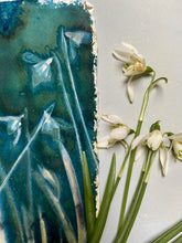 Load image into Gallery viewer, Snowdrop cluster