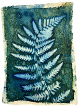 Load image into Gallery viewer, Fern botanical art print