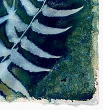 Load image into Gallery viewer, Holly fern