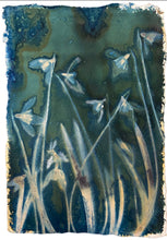 Load image into Gallery viewer, Snowdrop cluster
