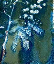 Load image into Gallery viewer, Mimosa