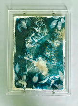 Load image into Gallery viewer, Elderflower 2