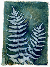 Load image into Gallery viewer, Holly fern
