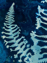 Load image into Gallery viewer, Fern triple