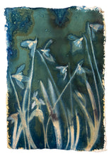 Load image into Gallery viewer, Snowdrop cluster