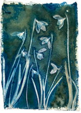 Load image into Gallery viewer, Snowdrops