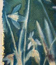 Load image into Gallery viewer, Snowdrop cluster