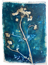 Load image into Gallery viewer, Hemlock botanical art print in shades of blue