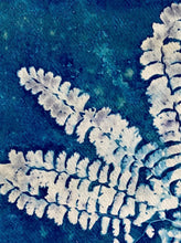 Load image into Gallery viewer, Fan Fern