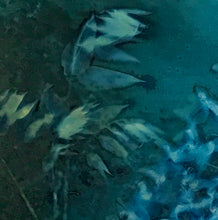 Load image into Gallery viewer, Wisteria spray